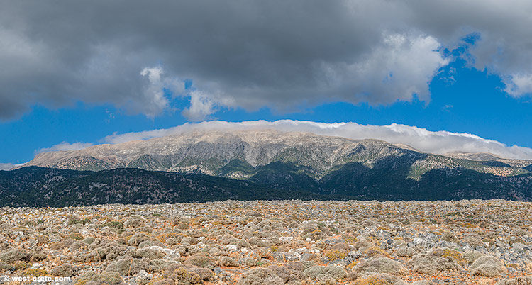 A cloud cap on the White Mountains - click on the image to enlarge A cloud cap on the White Mountains
- click on the image to enlarge