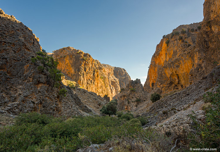 Evening sunlight in the gorge of Aradena - click on the image to enlarge Evening sunlight in the gorge of Aradena
- click on the image to enlarge