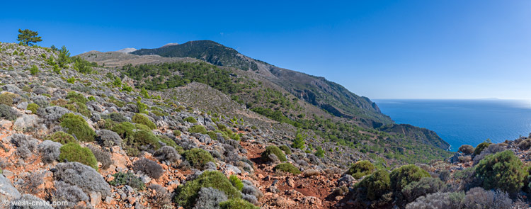 On the way to Polyphemus cave - click on the image to enlarge On the way to Polyphemus cave
- click on the image to enlarge