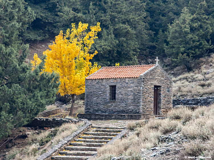 Autumn colours - click on the image to enlarge Autumn colours
- click on the image to enlarge