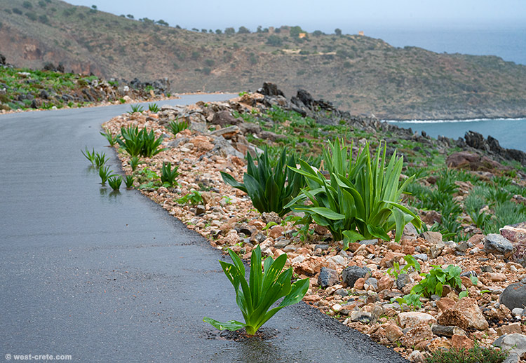 Nature wins - click on the image to enlarge Nature wins
- click on the image to enlarge