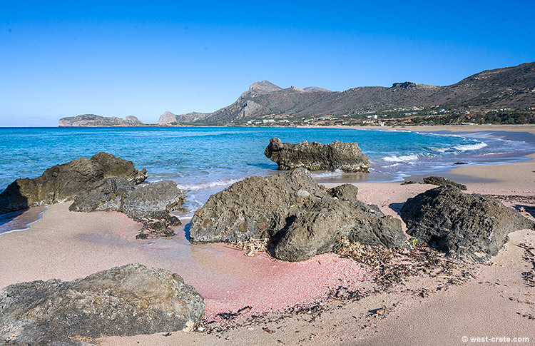 Pink sand on Falasarna beach - click on the image to enlarge Pink sand on Falasarna beach
- click on the image to enlarge
