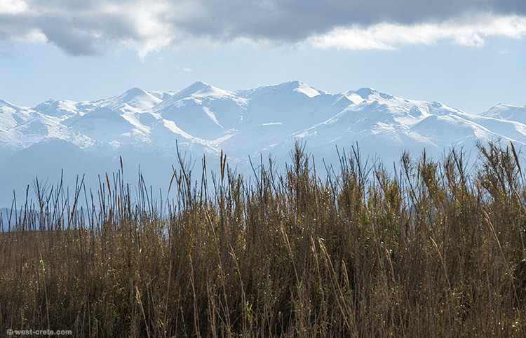 The mountains from Maleme beach - click on the image to enlarge The mountains from Maleme beach
- click on the image to enlarge
