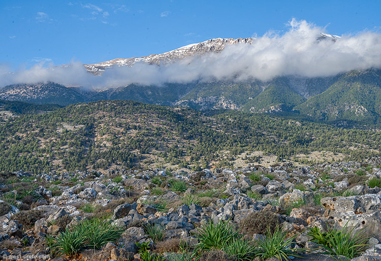 South slopes of the White Mountains - click on the image to enlarge South slopes of the White Mountains
- click on the image to enlarge