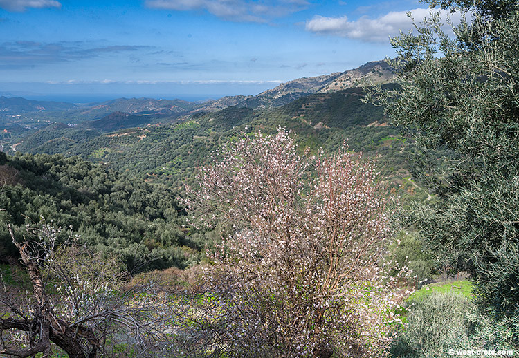 In the hills above Meskla - click on the image to enlarge In the hills above Meskla
- click on the image to enlarge