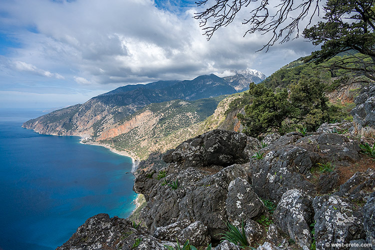 The Bay of Agia Roumeli seen from Kakos Poros - click on the image to enlarge The Bay of Agia Roumeli seen from Kakos Poros
- click on the image to enlarge