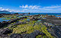 Rock pools in Falasarna
