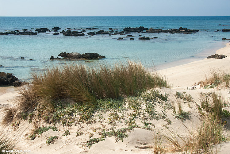Elafonisi - click on the image to enlarge Elafonisi
- click on the image to enlarge