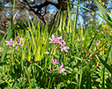 At ground level