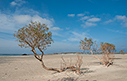 Elafonisi