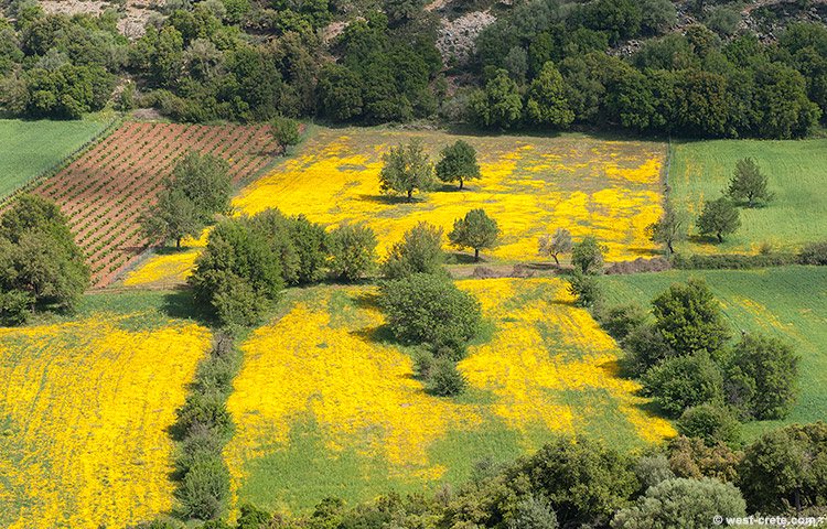 Spring in Krapi - click on the image to enlarge Spring in Krapi
- click on the image to enlarge