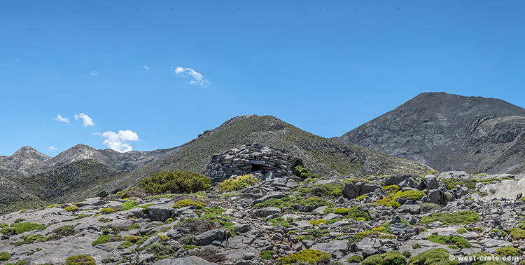 In the northern Madares - click on the image to enlarge In the northern Madares
- click on the image to enlarge