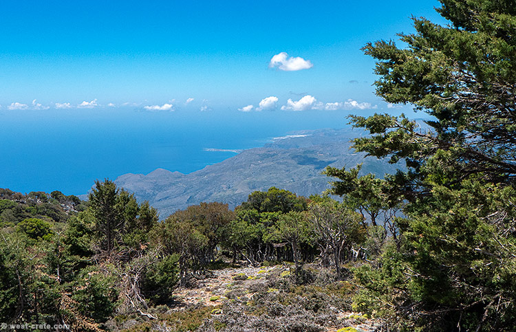 High above the South coast - click on the image to enlarge High above the South coast
- click on the image to enlarge