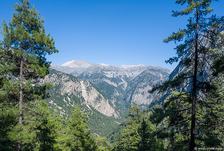 In the gorge of Samaria - click on the image to enlarge In the gorge of Samaria
- click on the image to enlarge