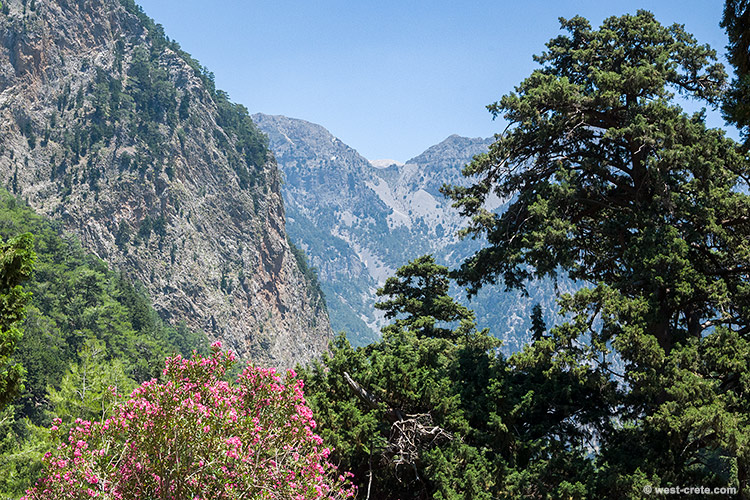 In the gorge of Samaria - click on the image to enlarge In the gorge of Samaria
- click on the image to enlarge