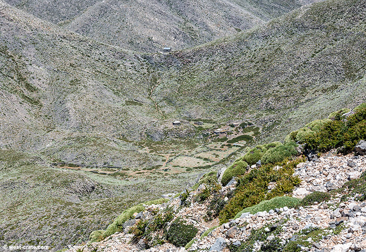 Katsivelli - click on the image to enlarge Katsivelli
- click on the image to enlarge
