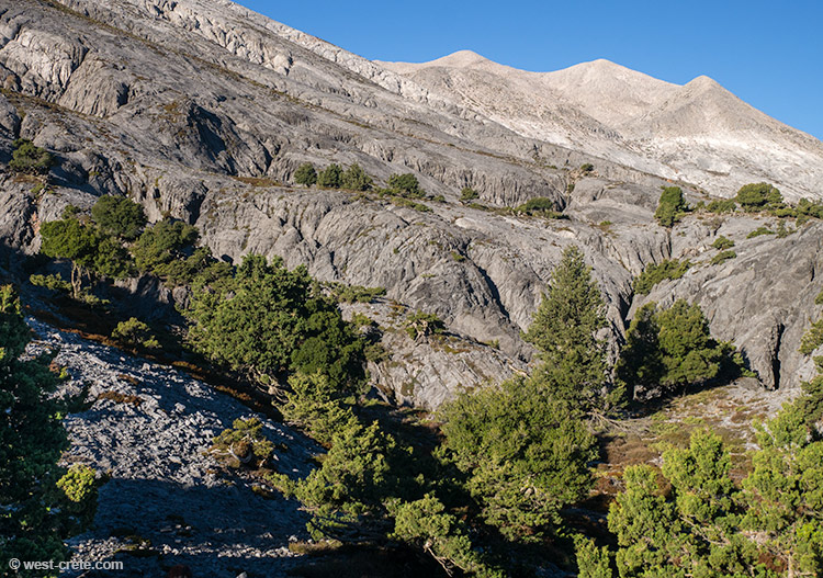 Kako Kasteli valley - click on the image to enlarge Kako Kasteli valley - click on the image to enlarge