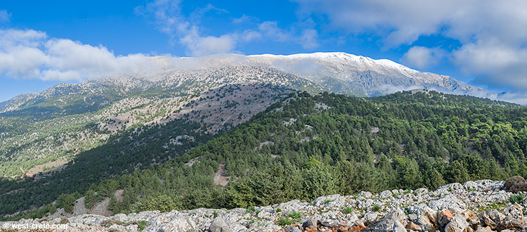 The White Mountains seen from a hill above Agios Ioannis - click on the image to enlarge The White Mountains seen from a hill above Agios Ioannis - click on the image to enlarge