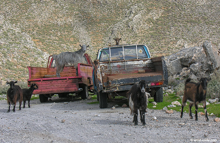 In the Cretan wild West - click on the image to enlarge In the Cretan wild West - click on the image to enlarge