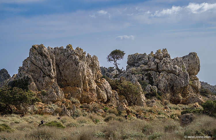 On the Rodopou peninsula - click on the image to enlarge On the Rodopou peninsula - click on the image to enlarge