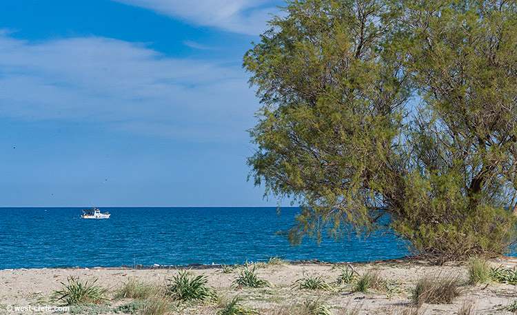 On Gerani beach - click on the image to enlarge On Gerani beach - click on the image to enlarge