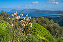 The Bay of Kissamos viewed from Polyrinia 