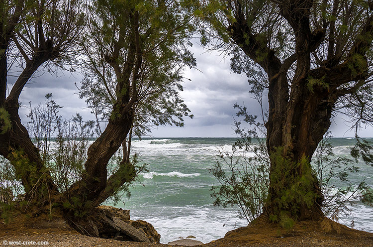 Rough sea! - click on the image to enlarge Rough sea - click on the image to enlarge