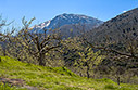 Spring in Omalos