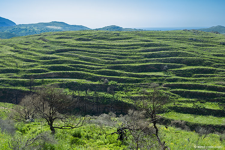 Ancient terraces by Asfendiles- click on the image to enlarge Ancient terraces by Asfendiles - click on the image to enlarge
