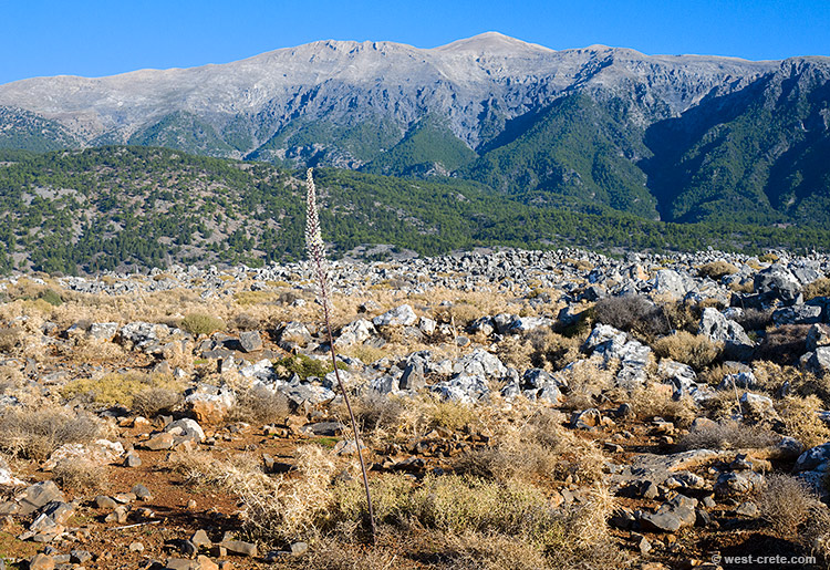 The South side of the White Mountains - click on the image to enlarge The South side of the White Mountains - click on the image to enlarge