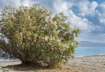 Crete photo of the day