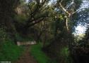Path to the chapel of Agios Stefanos