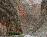 In the lower part of the gorge of Aradena (near Marmara)