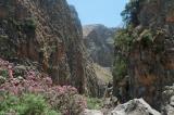 Late May and June is the best time to walk in the gorge of Aradena because the oleander is in full bloom