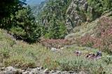 The gorge of Figou is a branch of the gorge of Agia Irini that leads to the plateau of Omalos. The climb can be quite steep at times.