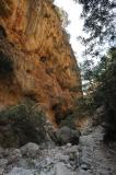 In the gorge of Agia Irini