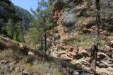 In the gorge of Agia Irini