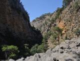 In the gorge of Agia Irini
