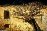 Agios Giorgoa Karidi, Apokoronas