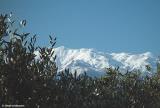 The White Mountains from Aptera