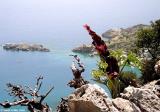 Dracunculus vulgaris, Loutro