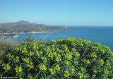 The bay of Souda seen from Apetera