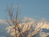 The White Mountains seen from Aptera