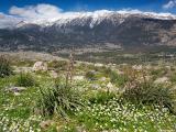 The White Mountains seen from Anopolis