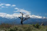 The White Mountains seen from Aptera