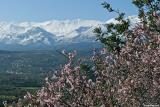 The White Mountains seen from Apokoronas