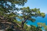 On the path between Agia Roumeli and Agios Pavlos"