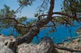 On the path between Agia Roumeli and Agios Pavlos"