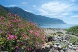 By the sea near Agia Roumeli