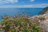 Above the sea near Agia Roumeli